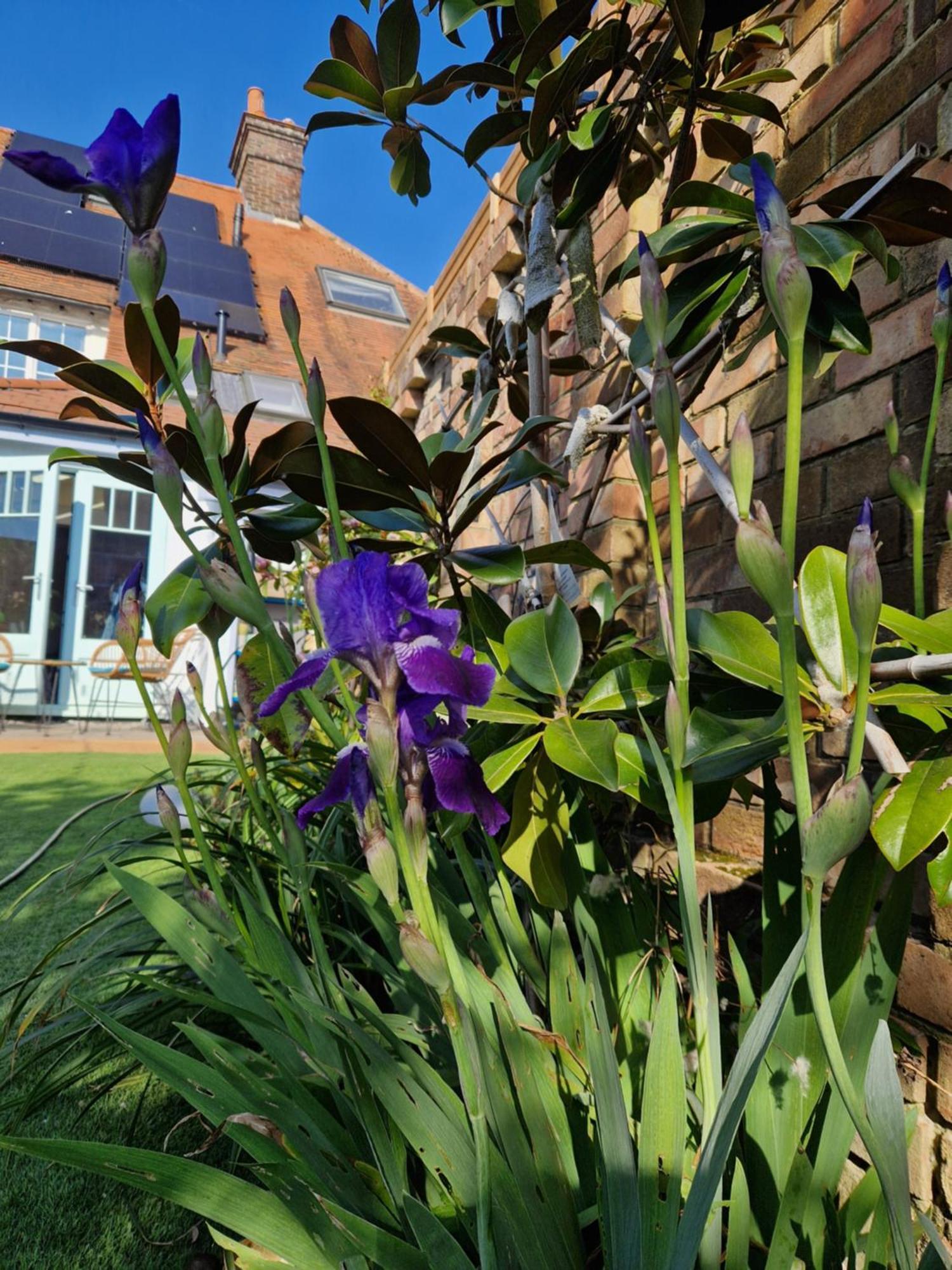 Lotus Pod House Homestay Horsell Exterior foto